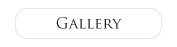 Gallery Navigation Button